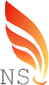 NS Classes