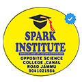 Spark Institute