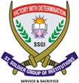 St. Soldier Divine Public School logo