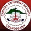 Carmel Convent School