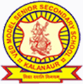 Ved Model Senior Secondary School